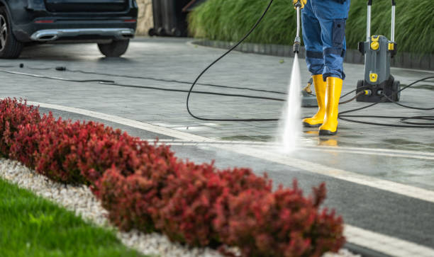 Best Residential Pressure Washing Services  in Untain Grove, MO