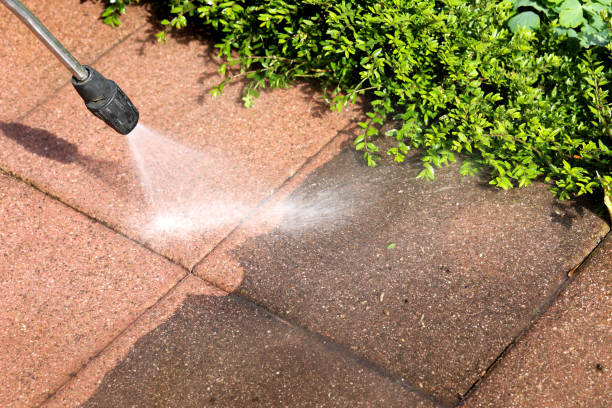 Best Sidewalk Pressure Washing  in Untain Grove, MO